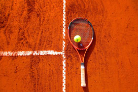 Ball Court Design Game
